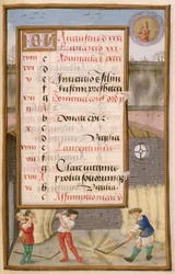 Ms 1058-1975 f8r Threshing Corn in the Lad, upplyst kalendersida för augusti, från a Book of Hours, c.1500