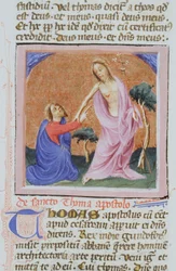 Ms Gen 1111 Page från Legenda Aurea, Brygge, c.1400-10