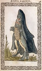 Sjöbiskopen eller sjömonstret, illustration från The Habits and Portraits of Almost All Nations and Contemporary Nations av Jean Sluperji, Antwerpen, 1572 (träsnitt i färg)