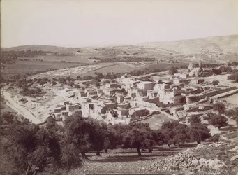 Översikt över Betania - Översikt över Betania, ca. 1880.