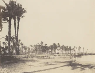 El-Nâcérah, Dattiers, Rives du Nil et Barques, 1851-52, tryckt 1853-54.