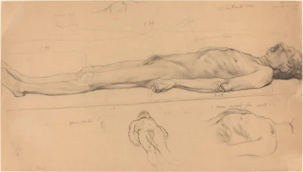The Corpse (Studier för The Dead Christ)