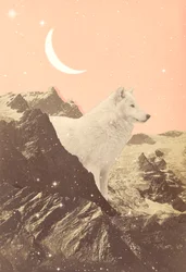 Jättevarg i Pink Mountains, 2021 (collage)