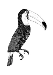 Toco - svartvitt