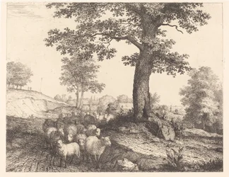 Herde och flock under ett gammalt träd