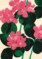 Ljusa rosa blommor
