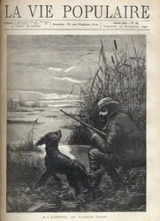 En fågeljägare tittar i ett träsk med sin hund. Illustration av F. Meaulle för "" Hopefully! "" av Alphonse Daudet (1840-1897). Gravyr från 1890 i "La vie populaire". Privat samling