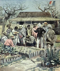 Fransmännen ger jordbrukslektioner till ursprungsbefolkningen på Madagaskar 1897 (Gravyr)
