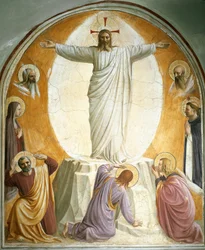 Transfiguration