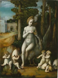 Leda och svanen