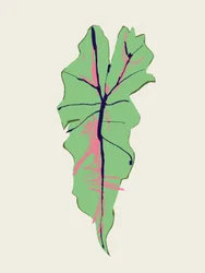 Grönt blad med rosa ådror