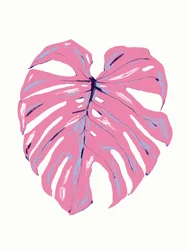 Tropisk rosa monstera