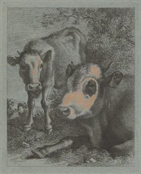 Liggande ko och kalv i det fria, 17581759.