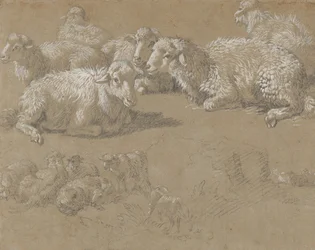 Liggande får i ett landskap, 1759-82.