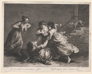 kvinnor som slåss Women Fighting (serietitel)
