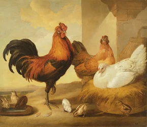 Tamhane, hönor och kycklingar, 1655