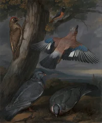 Nötskrika, gröngöling, duvor och rödstjärt