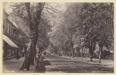 Cheltenham, Promenade, 186094.