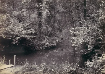 Colwyn Bay. Poolen i skogen, 1870-talet.