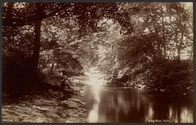 Elwyfloden, Cefn
