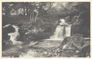 Glen Lyn, den rustika bron, 186094.