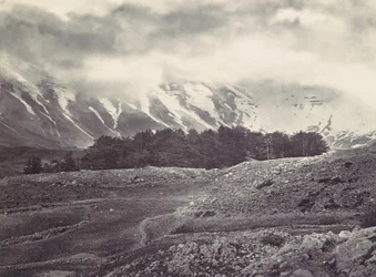 Avlägsen utsikt över Libanons cedrar, ca. 1857.