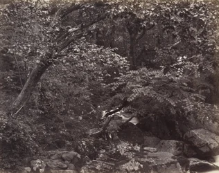 Glen i Lynmouth, 1860-talet