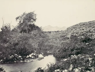 The Fountain of Jerico och den troliga platsen för staden, ca. 1857.