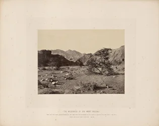 Syndens vildmark (Wady Shellal)