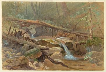 Pool i skogen