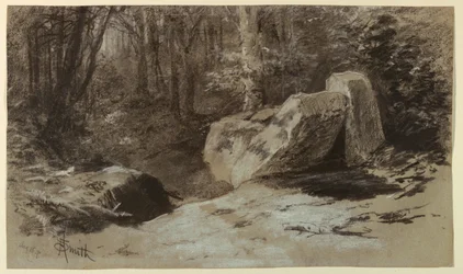 Stenar i skogen
