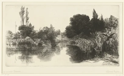 Damm Shere Mill Pond