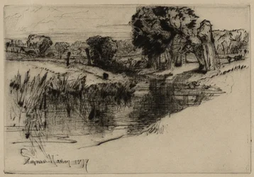 A Backwater, 1877 (torrnål)