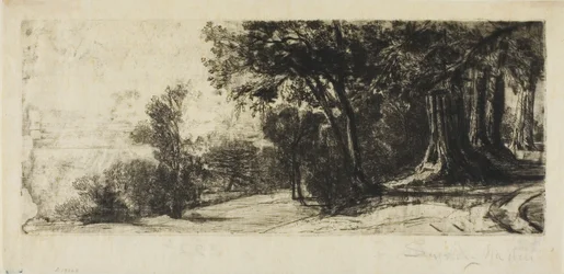 Tidig morgon, Richmond Park