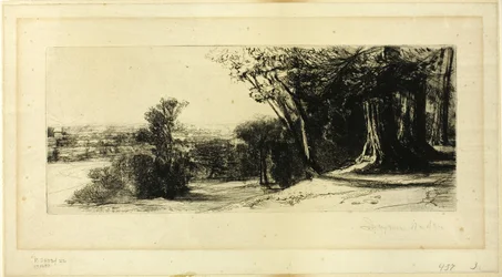 Tidig morgon, Richmond Park