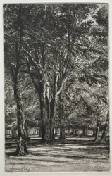 Kensington Gardens (den stora plattan)