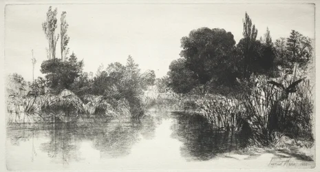 Shere Mill Pond (den större plattan)