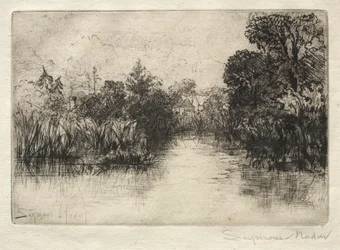 Shere Mill Pond En liten studie.