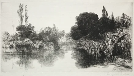 Shere Mill Pond, nr 11 (den stora plattan)