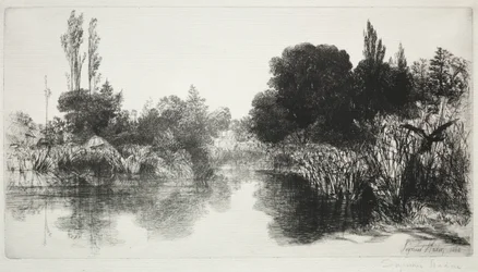 Shere Mill Pond, nr 11 The Large Plate, 1860 och senare.