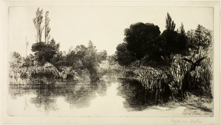 Shere Mill Pond, nr II (stor platta)