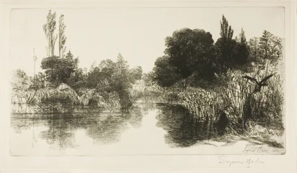Shere Mill Pond, nr II (stor platta)