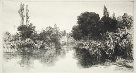 Shere Mill Pond The Larger Plate, 1860.