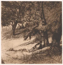 Under täckmantel av..., 1859., 1859.