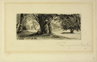 Holly Fields