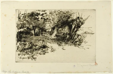 Willows
