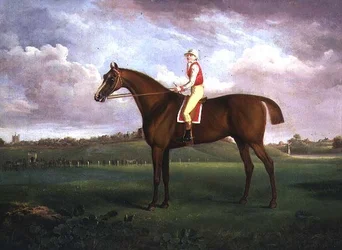 Jockey upp