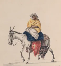 En slaktare som rider på en åsna, från en grupp teckningar föreställande peruansk kostym, ca. 1848.