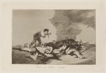 För att du har fötts (This Is What You Were Born For), pl. 12 från serien The Disasters of War