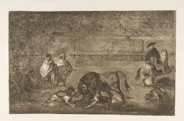 Plåt C: Hundarna släpper loss på tjuren., ca. 1816.